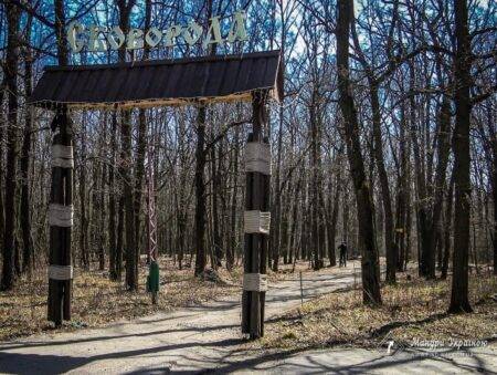 Дерев'яна арка з написом Сковорода при вході до лісу